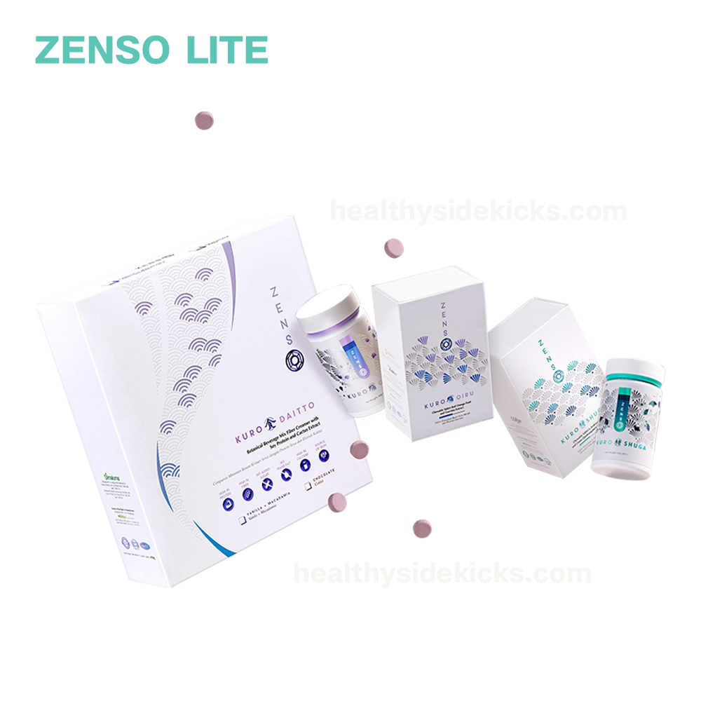 ZENSO Lite Programme