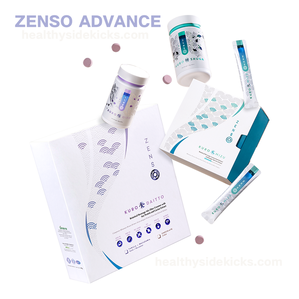 ZENSO Advance Programme