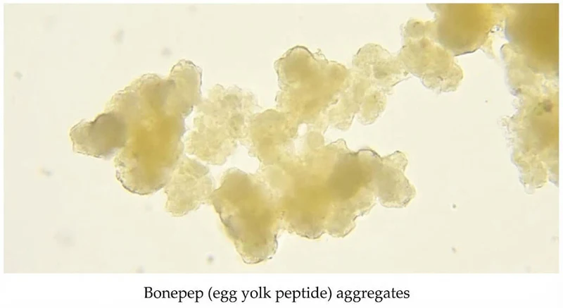 Bonepep