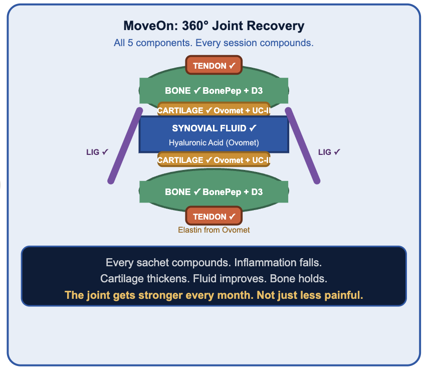 MoveOn 360° Joint Recovery - All 5 components