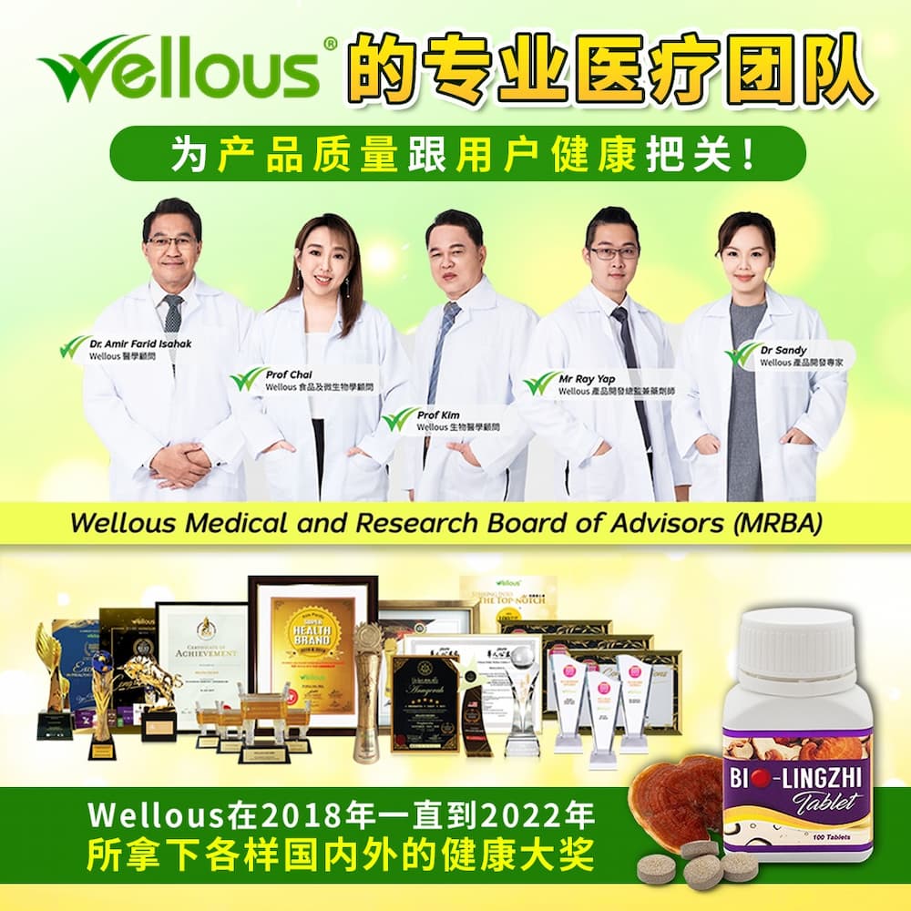 Wellous的医疗团队