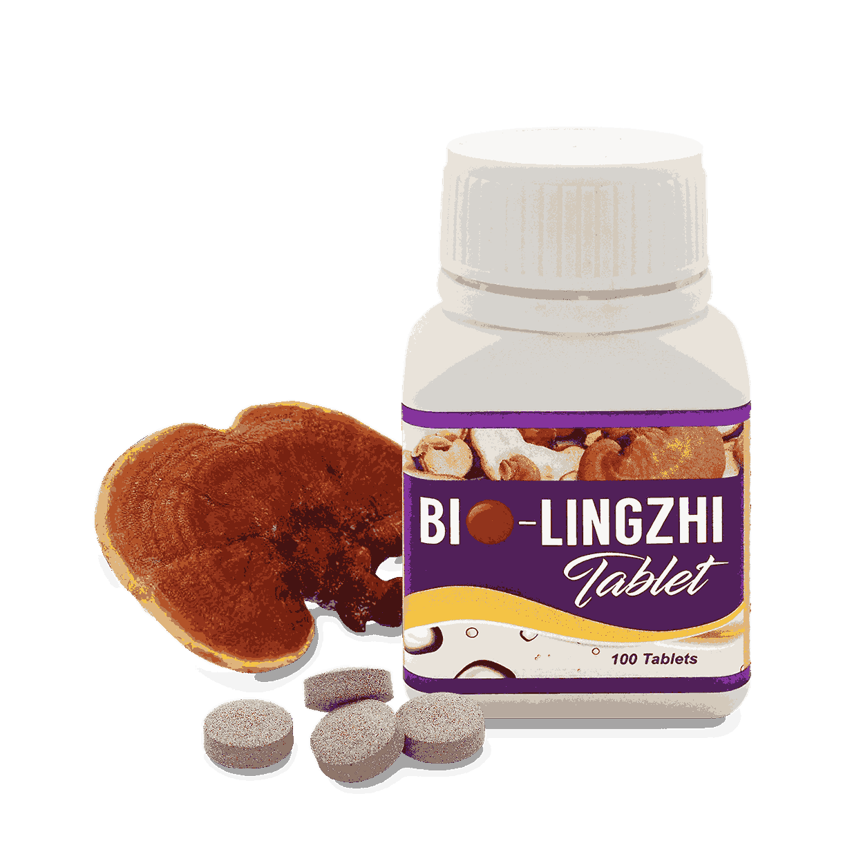 Bio靈芝王 對比 傳統靈芝