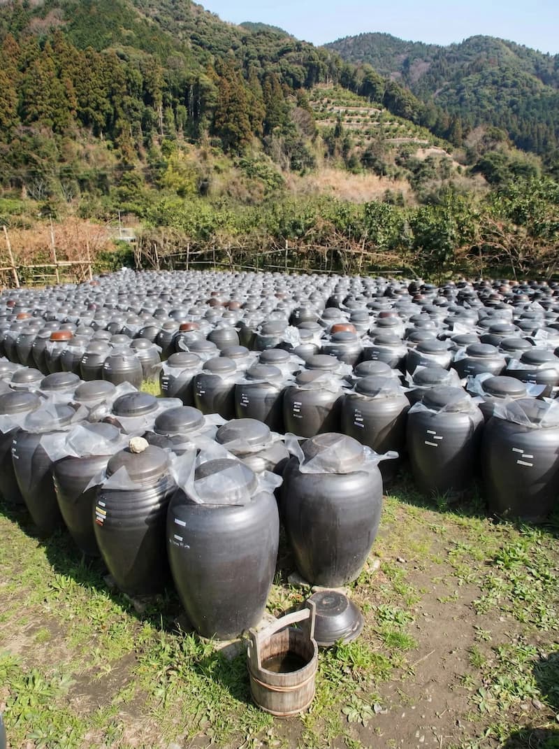 Zenso 鹿兒島黑醋