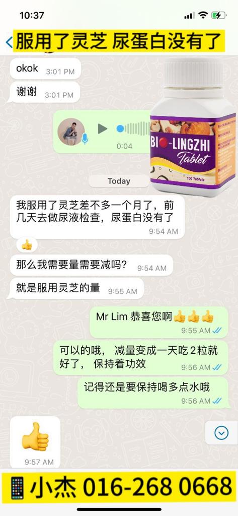 Bio灵芝的用户好评