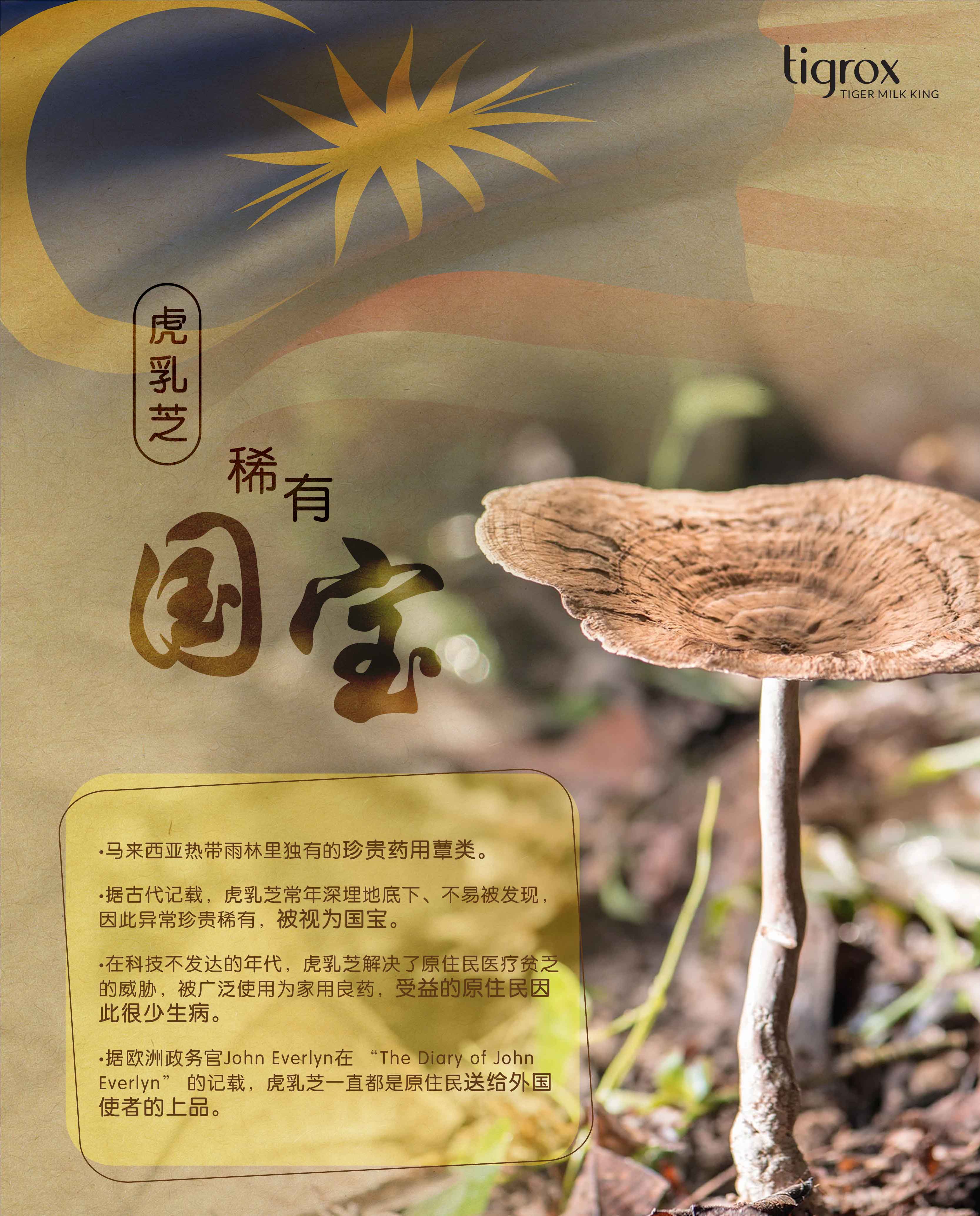 马来西亚国宝虎乳芝