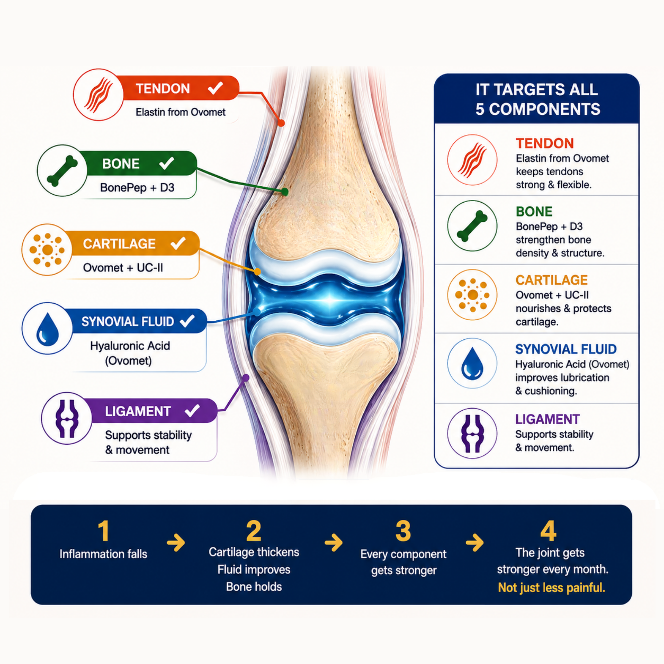 360 Joint Recovery System Diagram