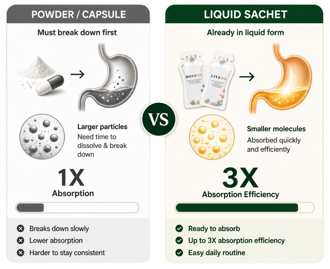 Absorption Comparison: Powder vs Liquid
