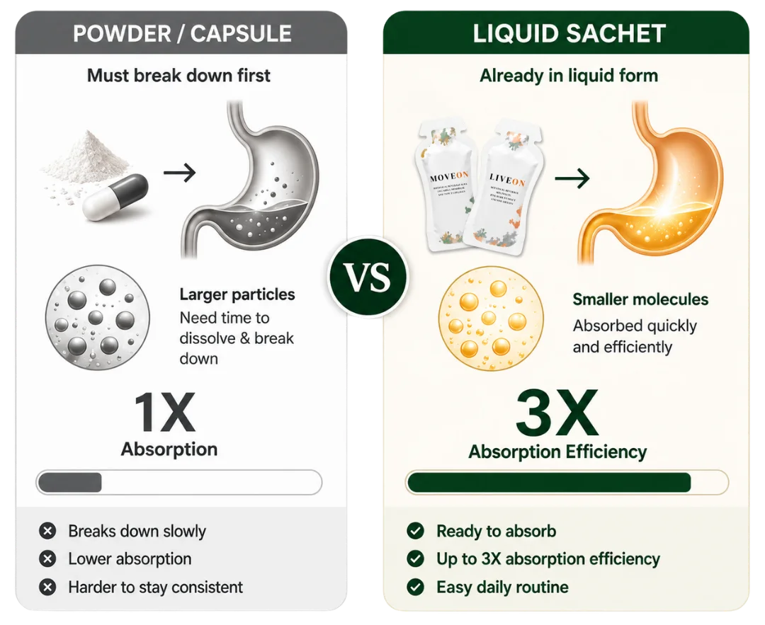 Absorption Comparison: Powder vs Liquid