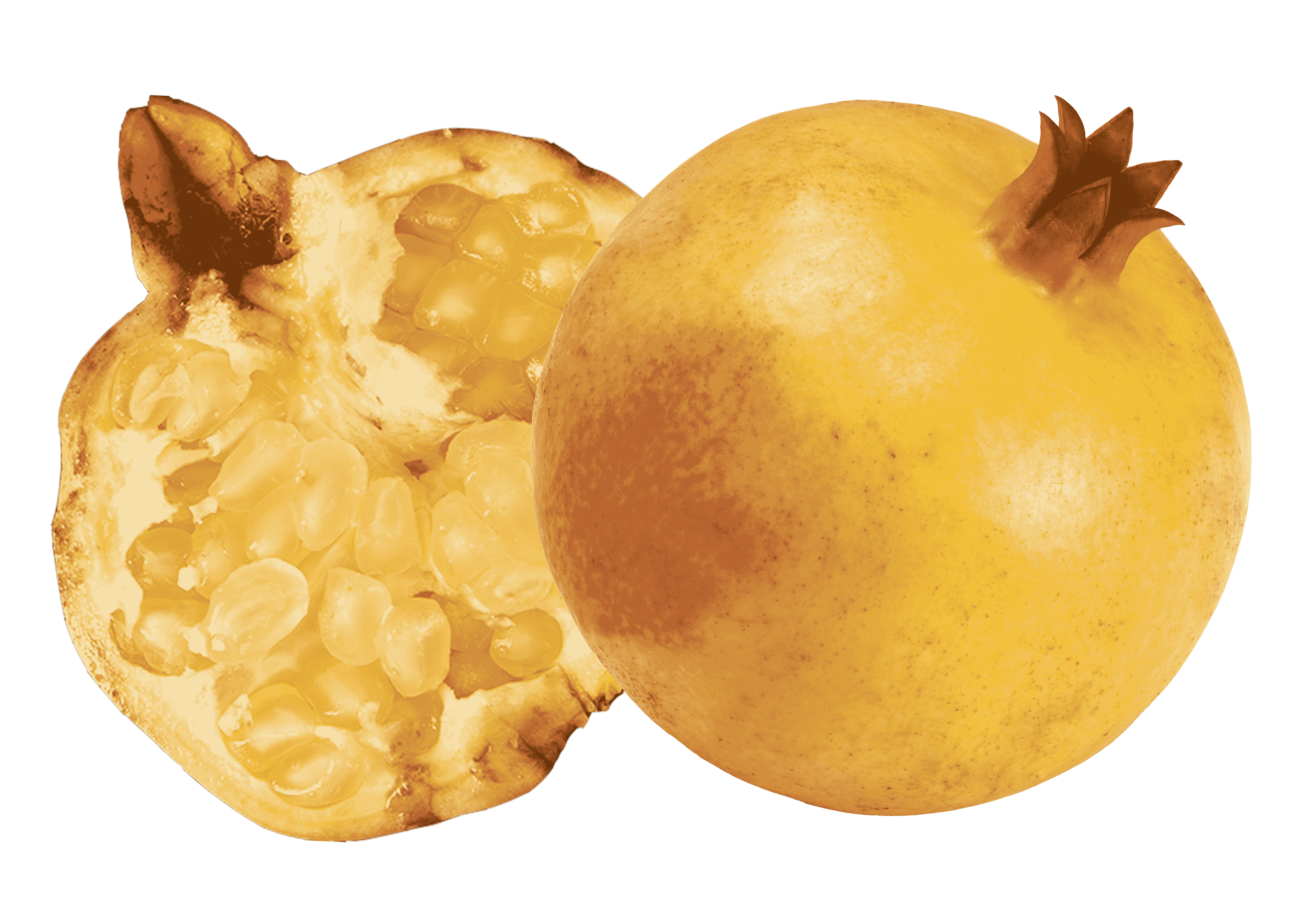 POMEWHITE White Pomegranate