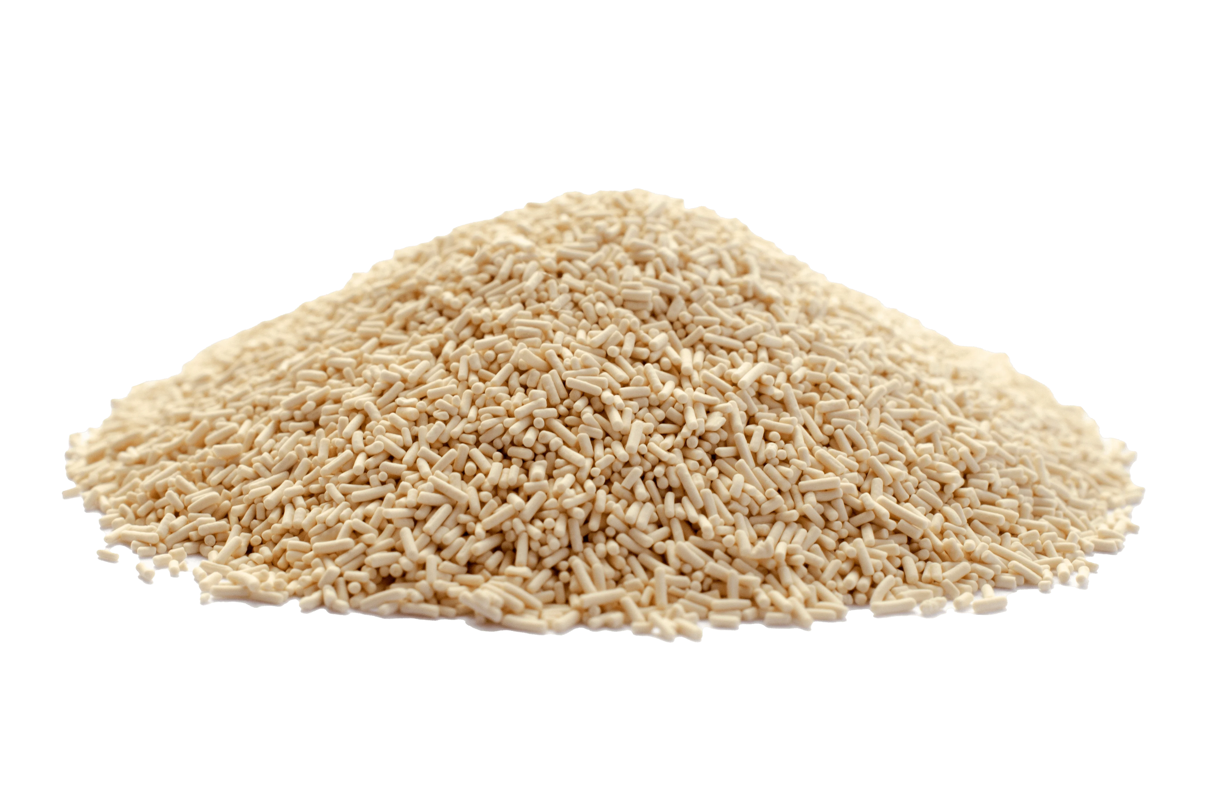 Yeast Extract
