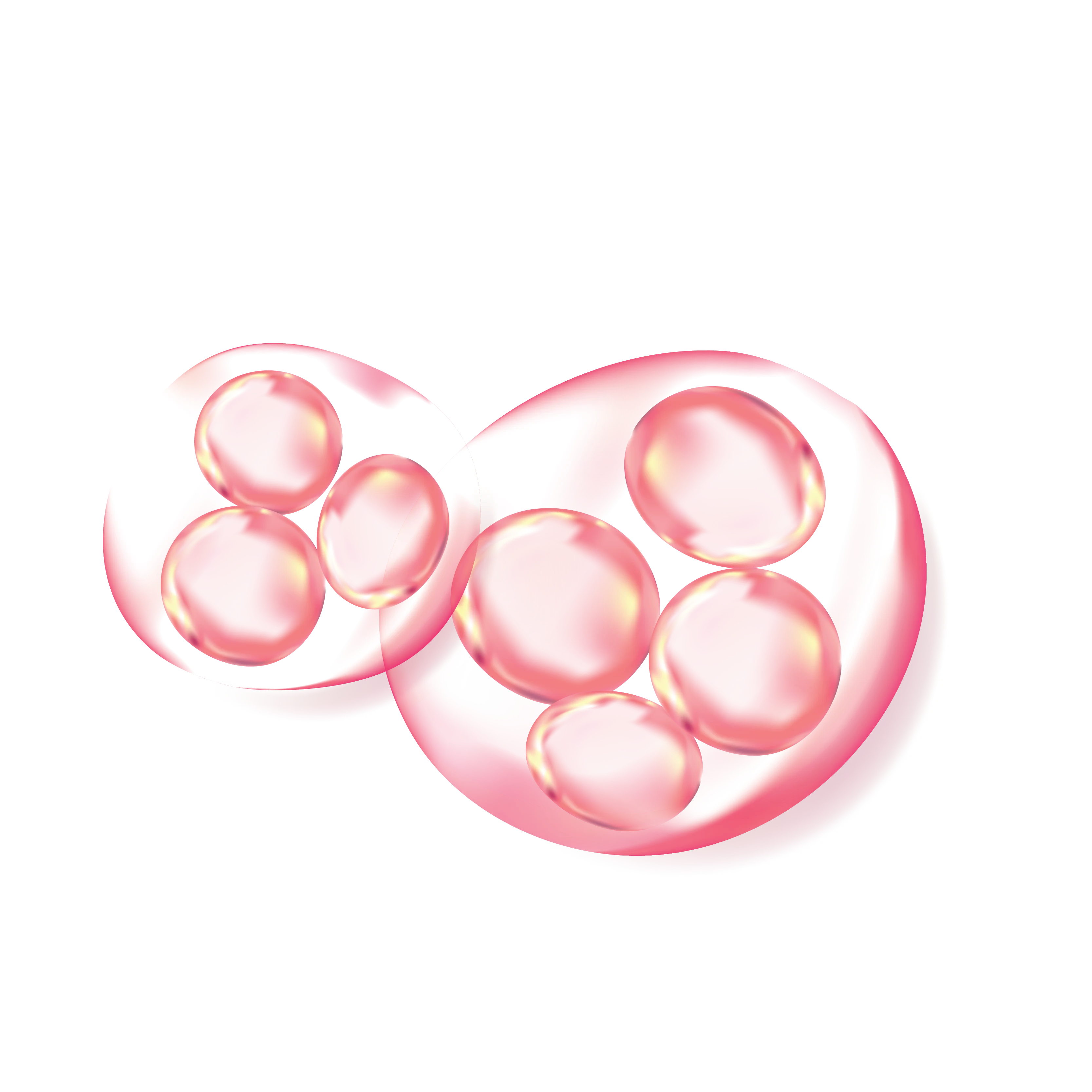 Hibiscus Collagen