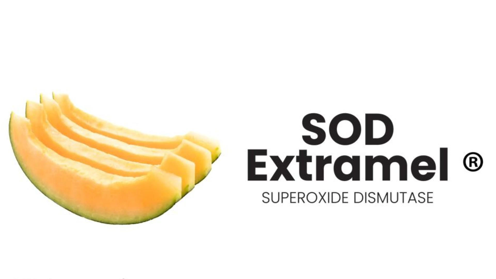 法國甜瓜 SOD Extramel®