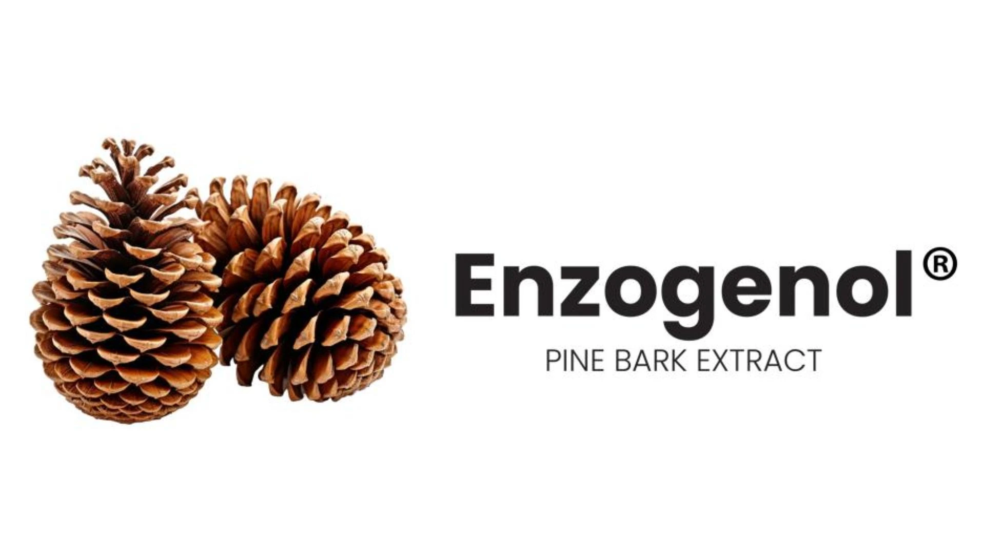 新西蘭松樹皮 Enzogenol®