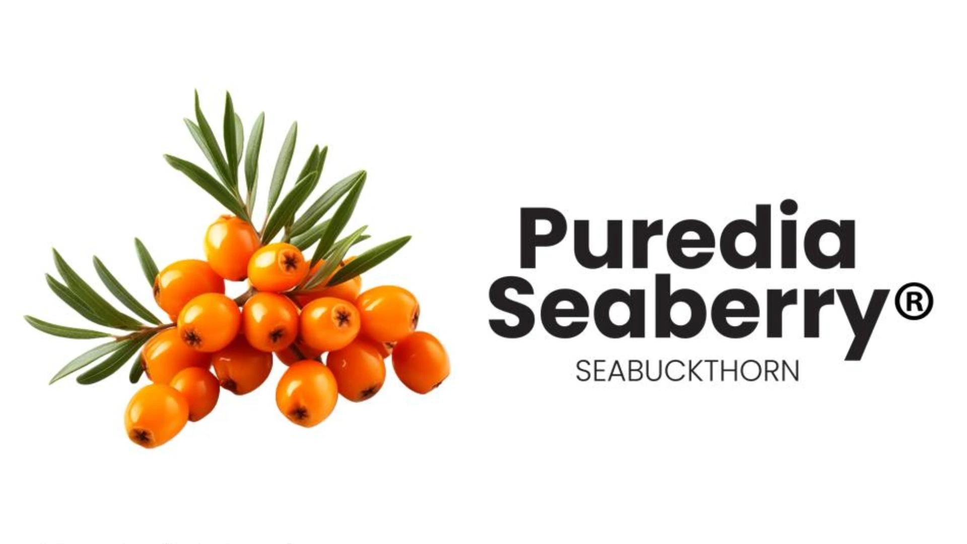 西藏沙棘 SeaBerry®