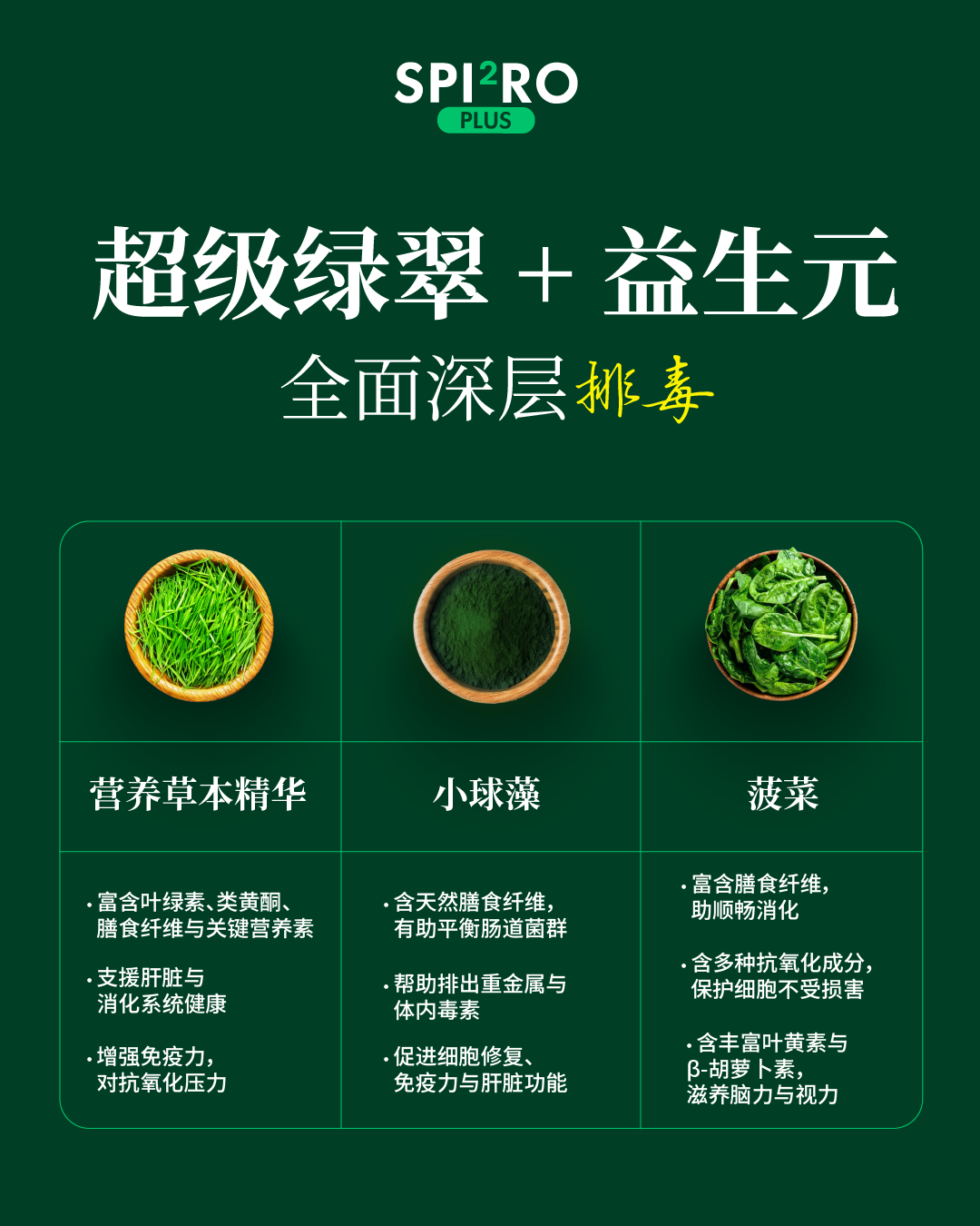 專利成分介紹 2