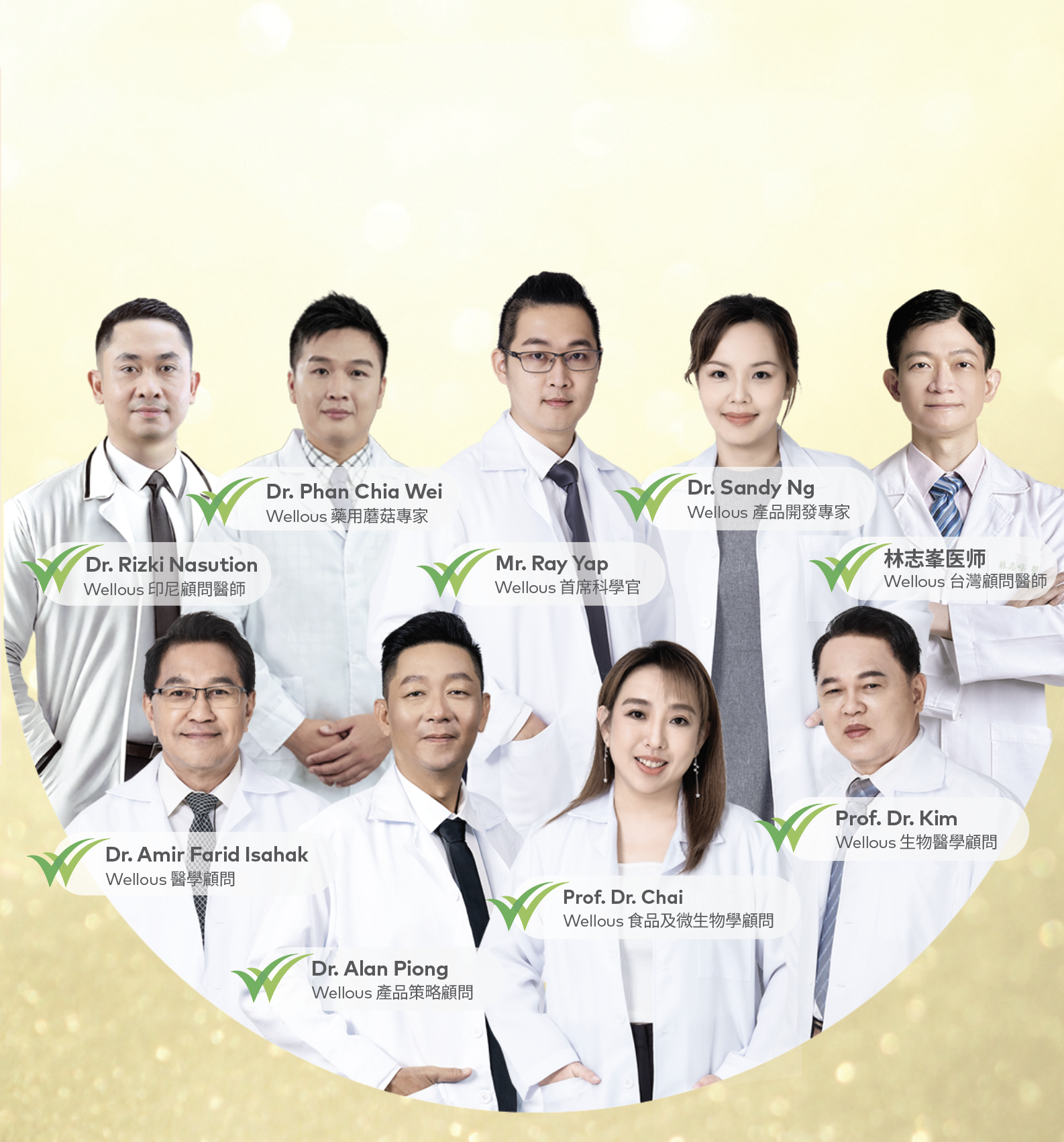 Wellous的医疗团队