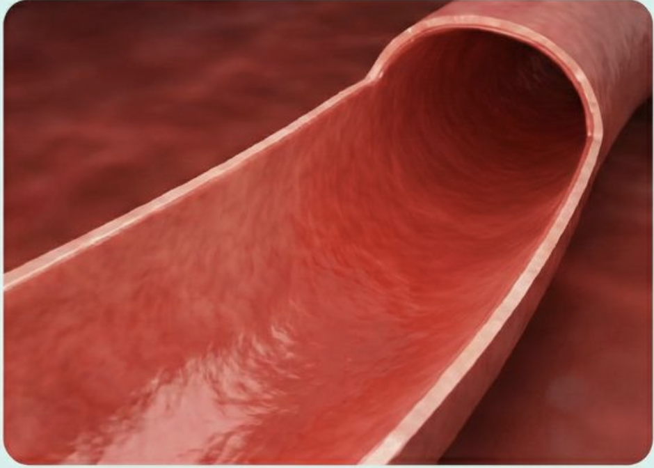 服用 Bio 葡萄籽後血管狀態