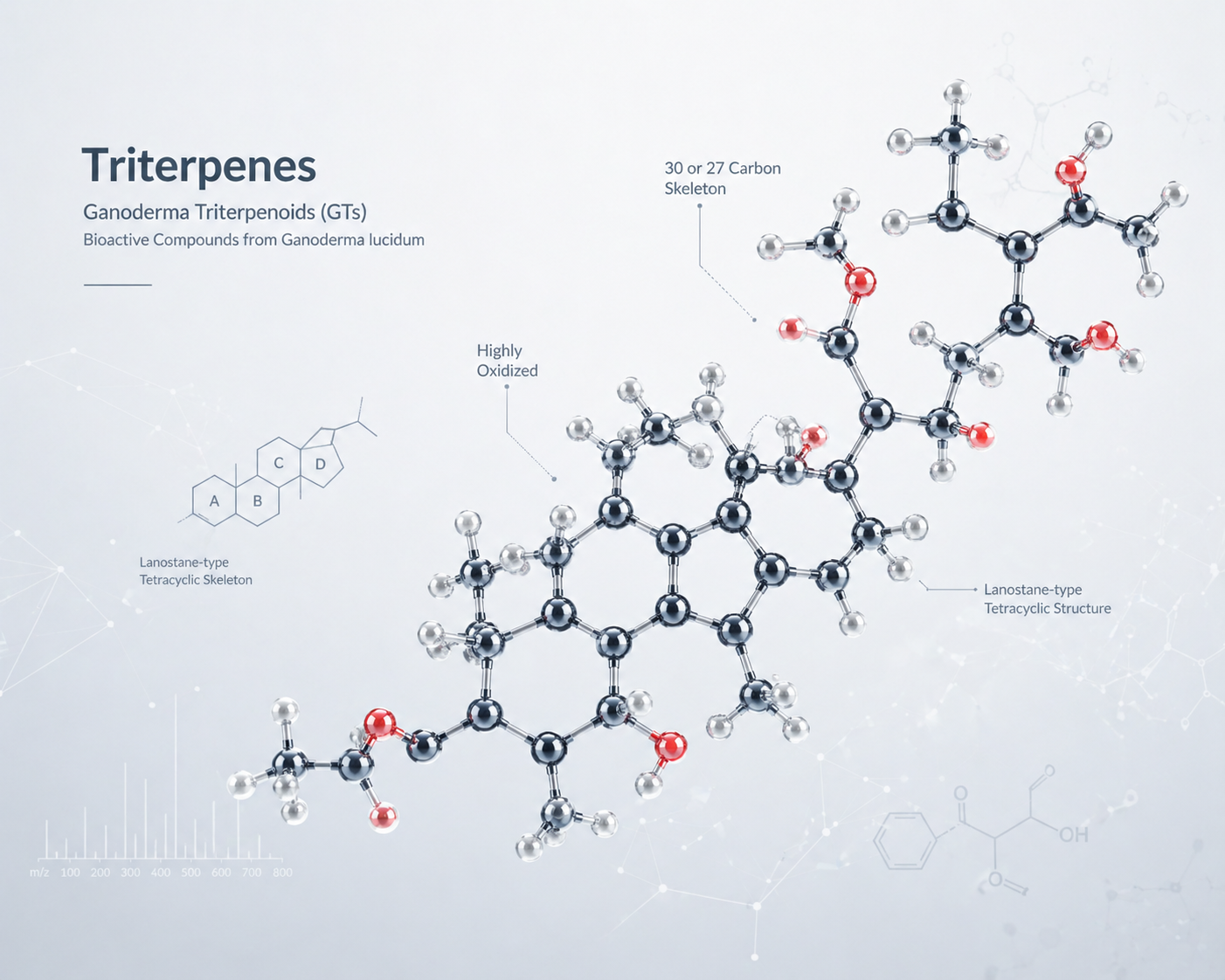 Triterpenes