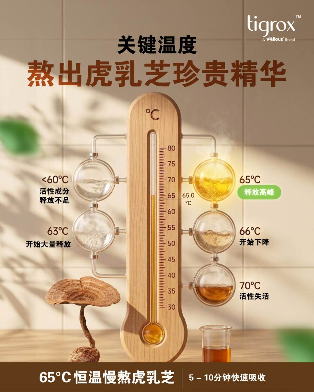 65°C 恒温慢熬萃取，关键温度