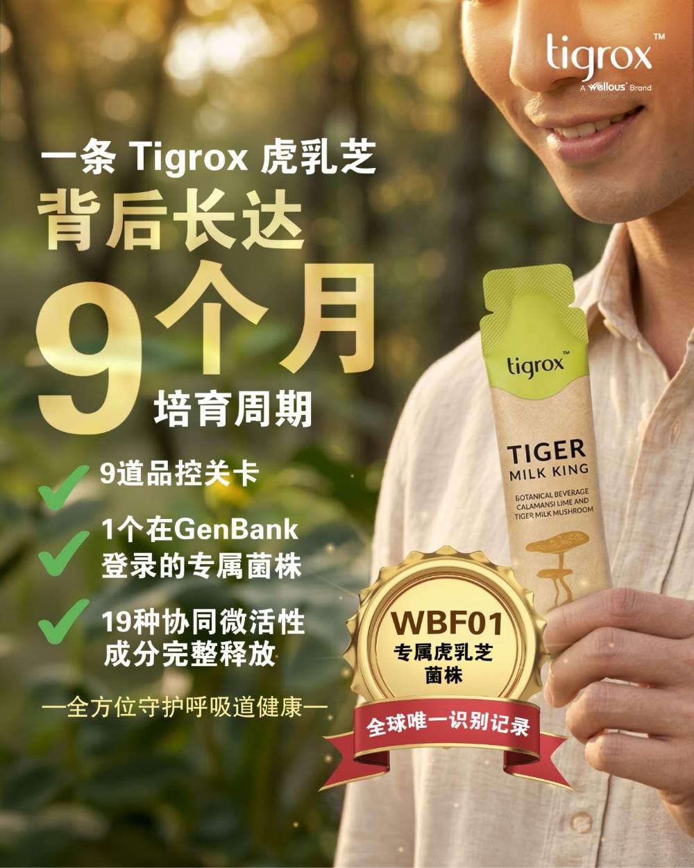 WBF01 专属虎乳芝菌株 · 9个月培育周期