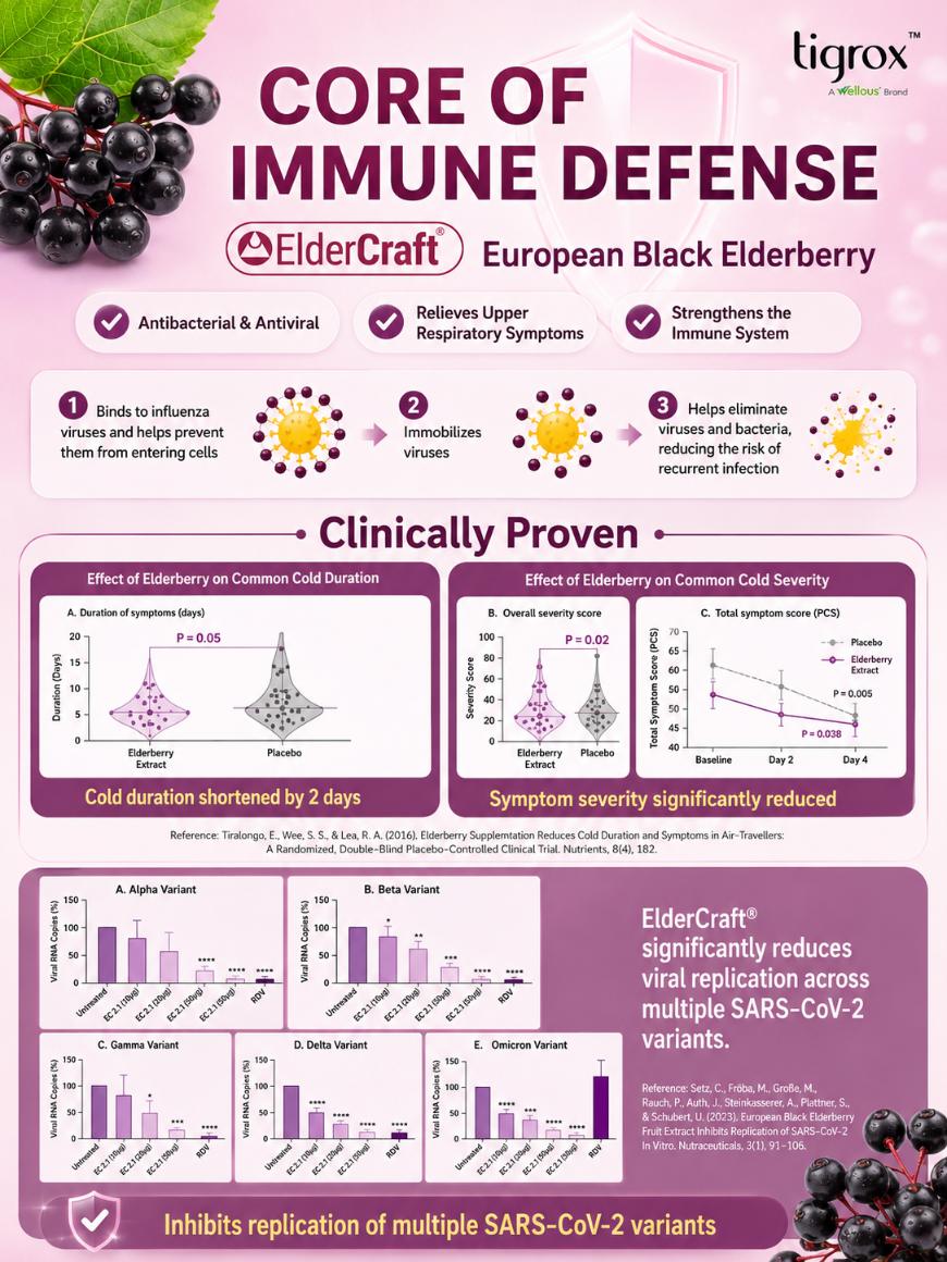 ElderCraft European Black Elderberry — clinically proven