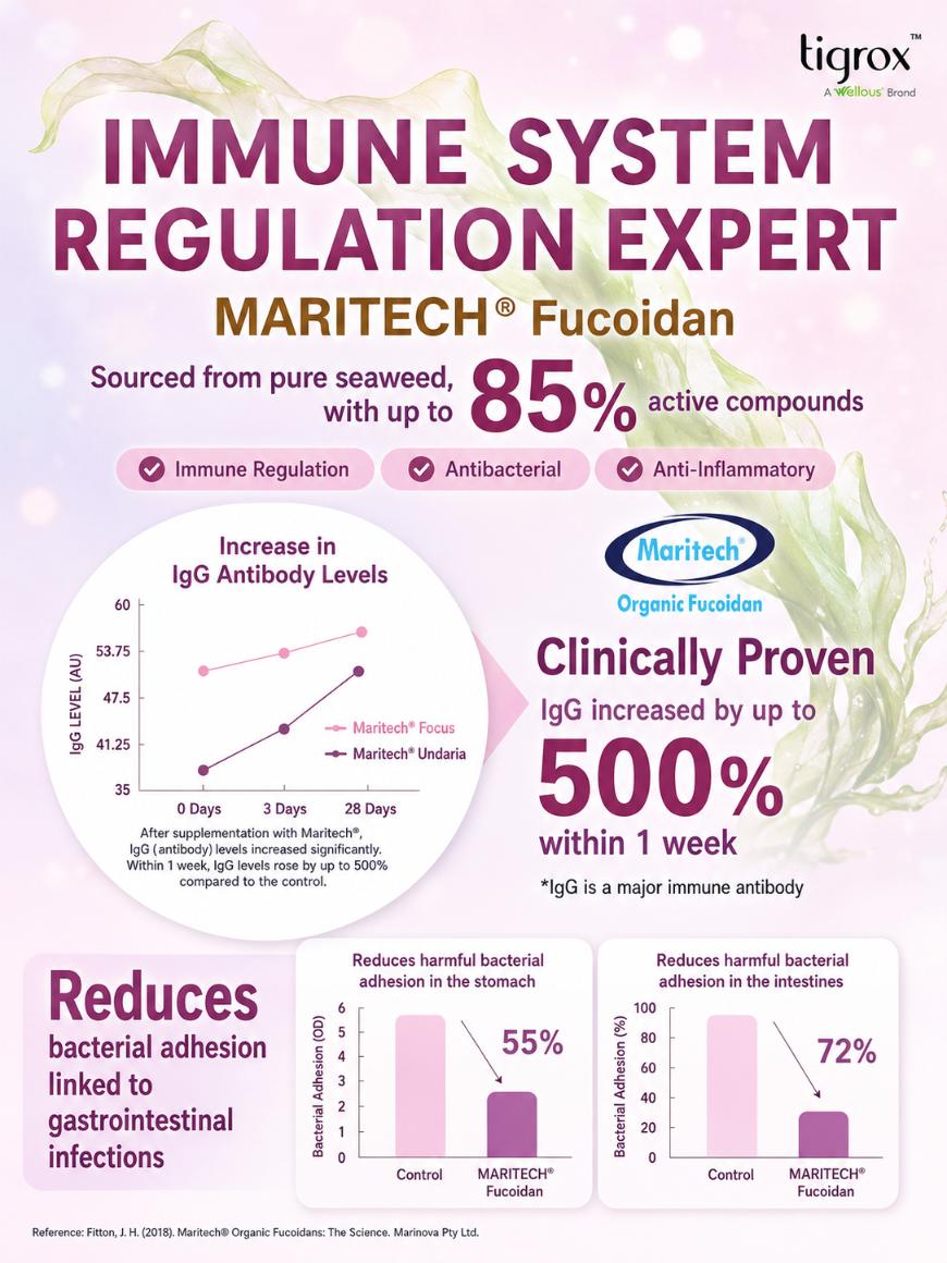 Maritech Fucoidan — immune system regulation expert