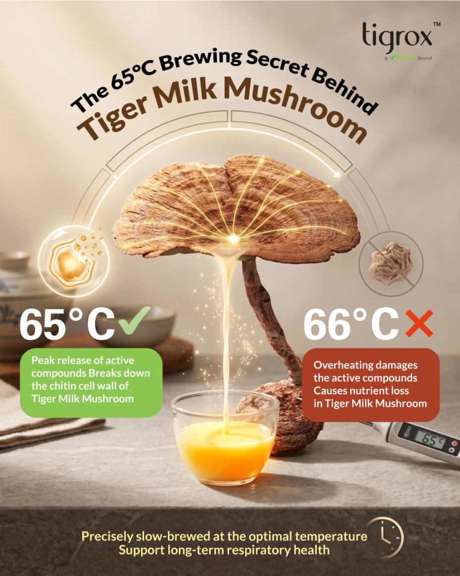 The 65°C brewing secret behind Tiger Milk Mushroom
