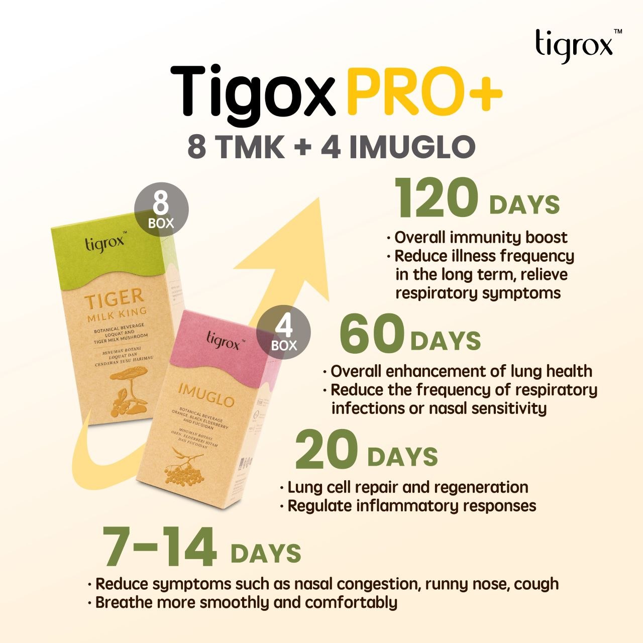 TigroxPRO+ 120-day regimen — 8 Tiger Milk King + 4 IMUGLO, with a 7-14/20/60/120 day results timeline