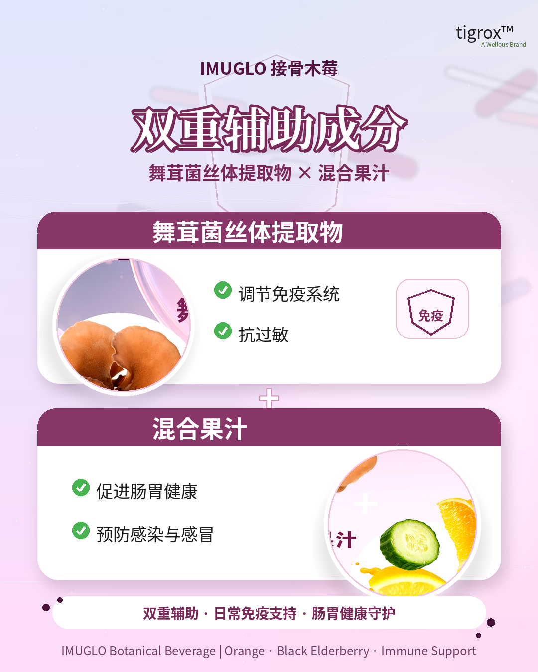 IMUGLO 产品资料 4