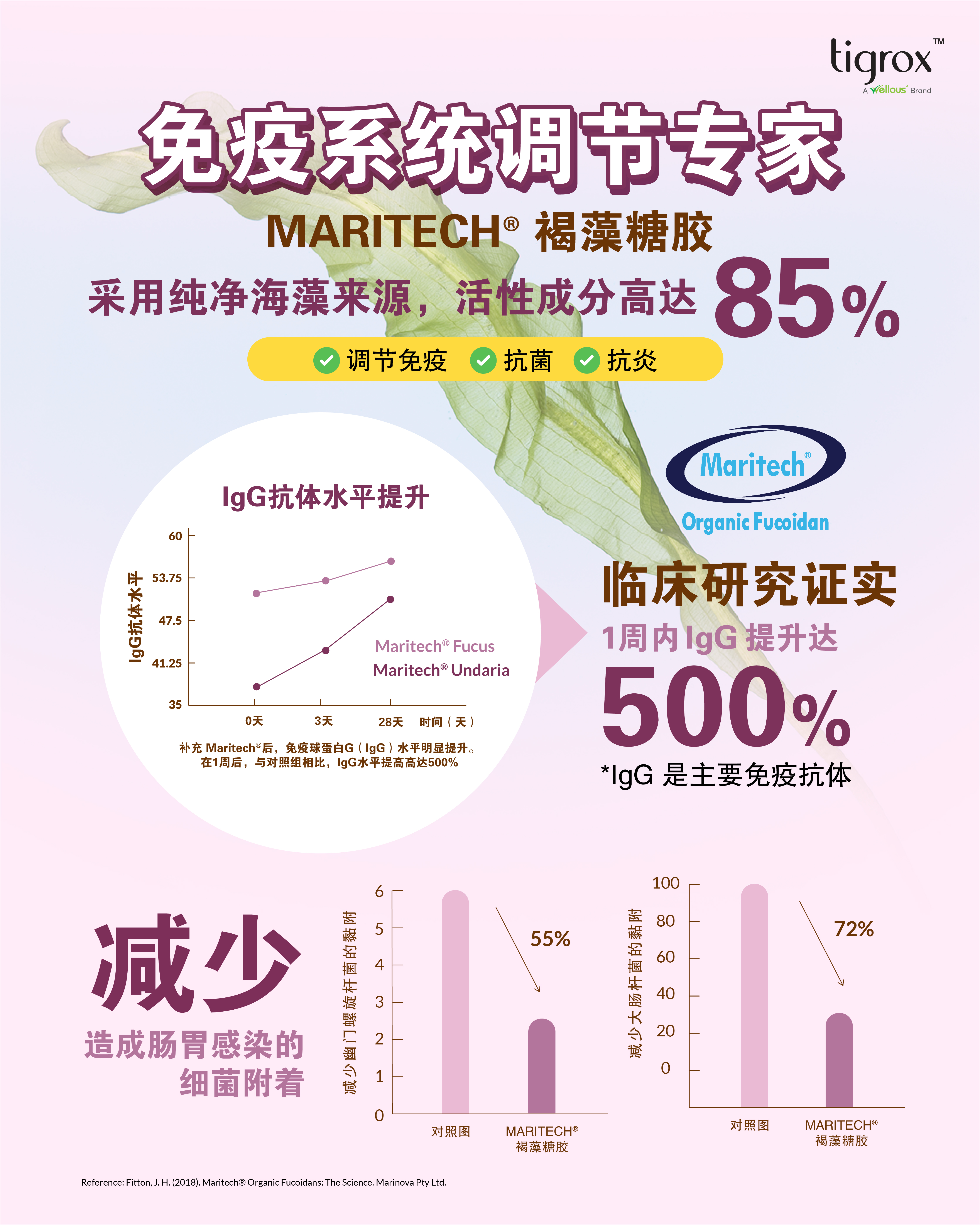 IMUGLO 产品资料 5