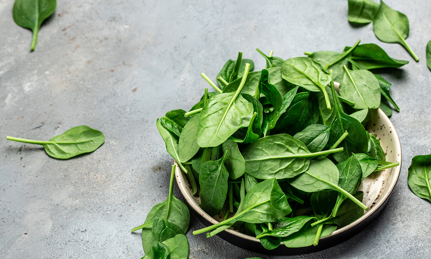 Fresh spinach leaves