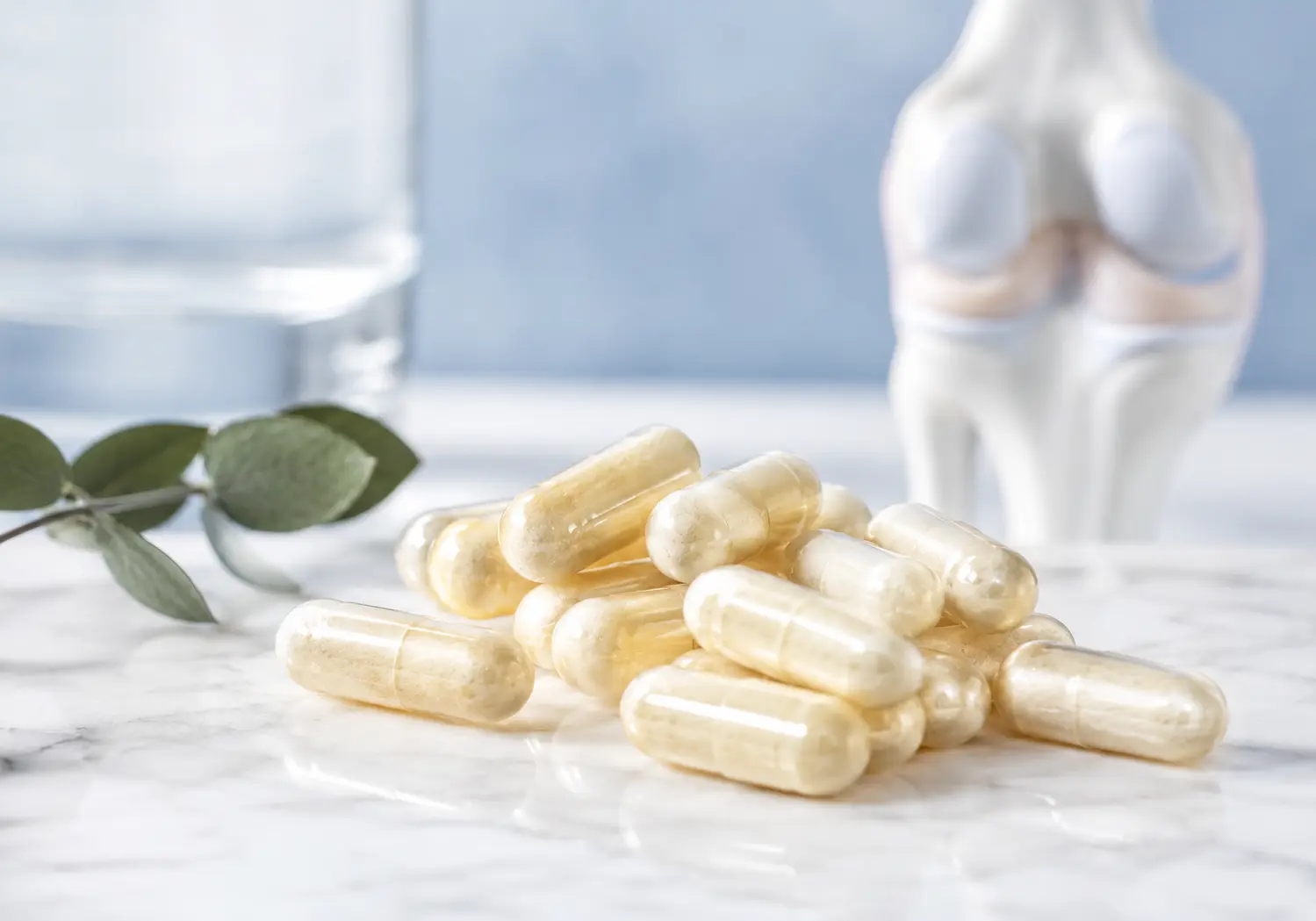 Glucosamine / Collagen