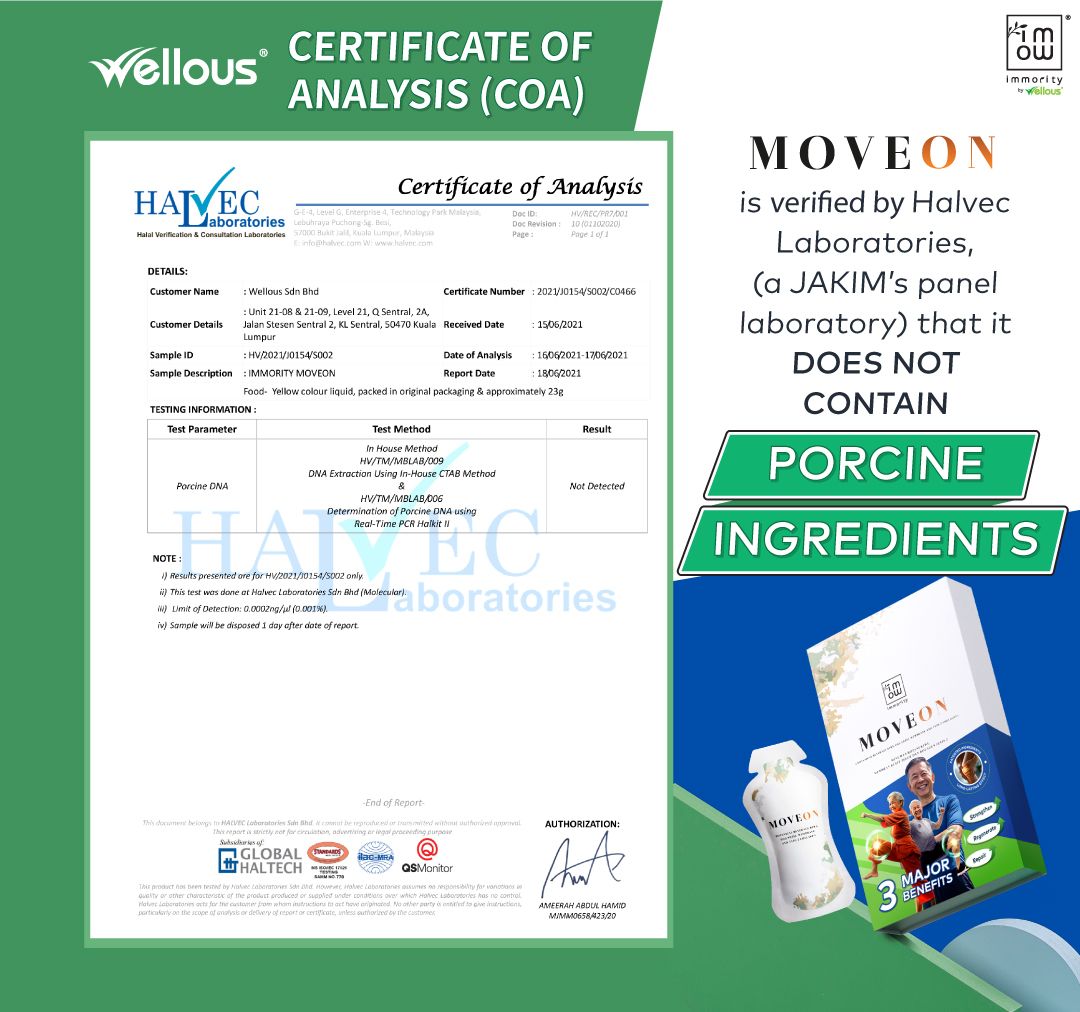Certificate 6