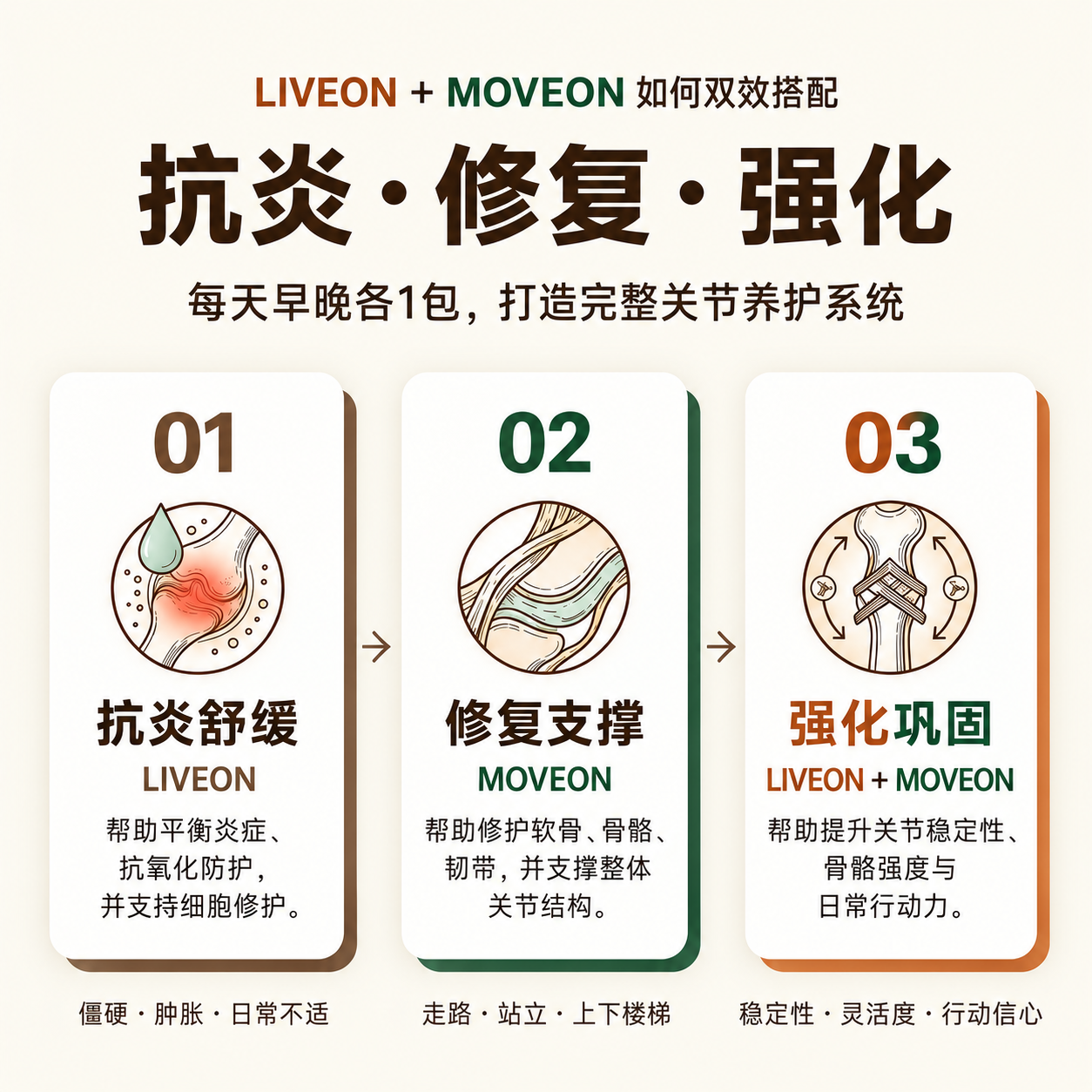 LIVEON 与 MOVEON 抗炎修复强化搭配逻辑