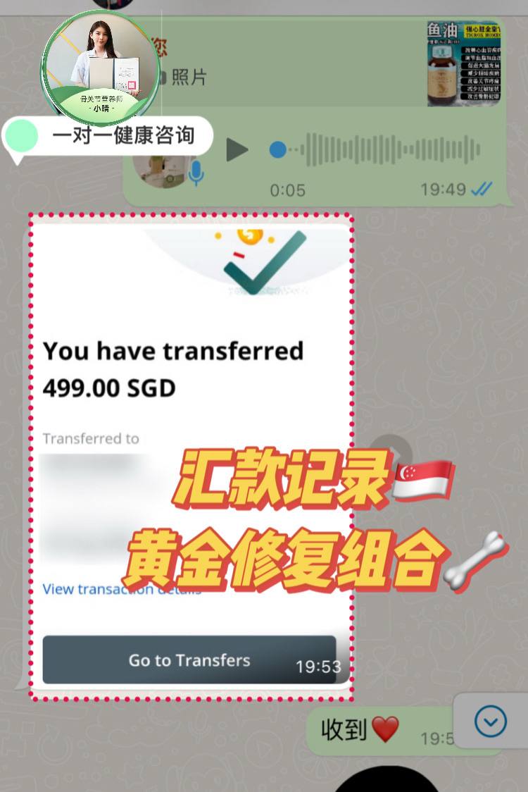 顾客支付499新币的真实汇款记录