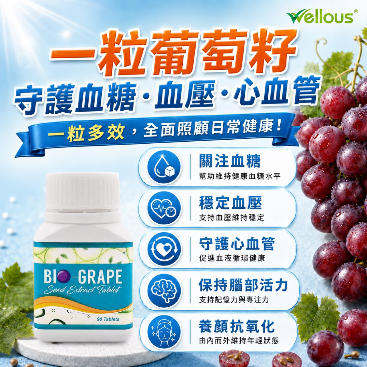 Bio葡萄籽 1