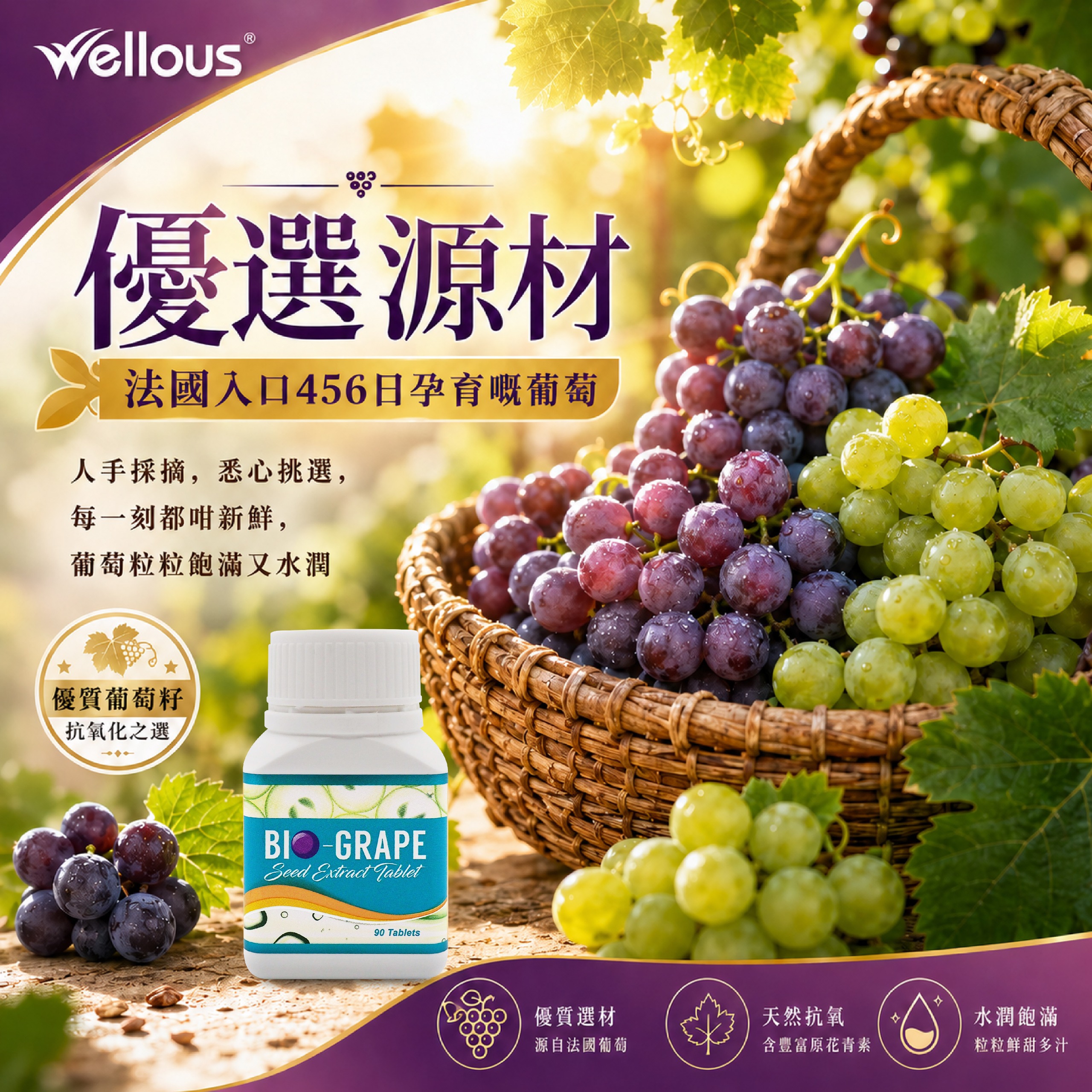 Bio葡萄籽 2