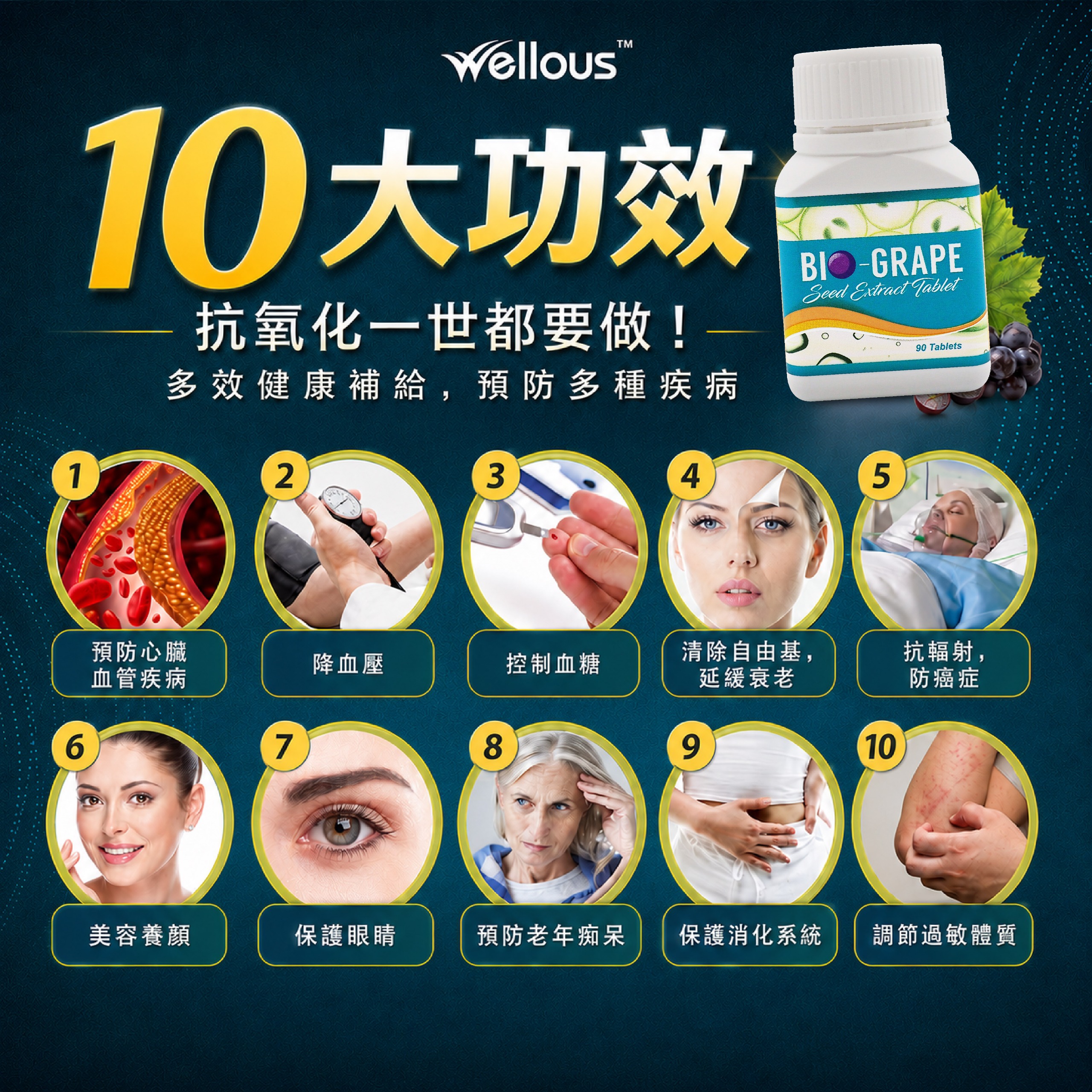 135日路線圖