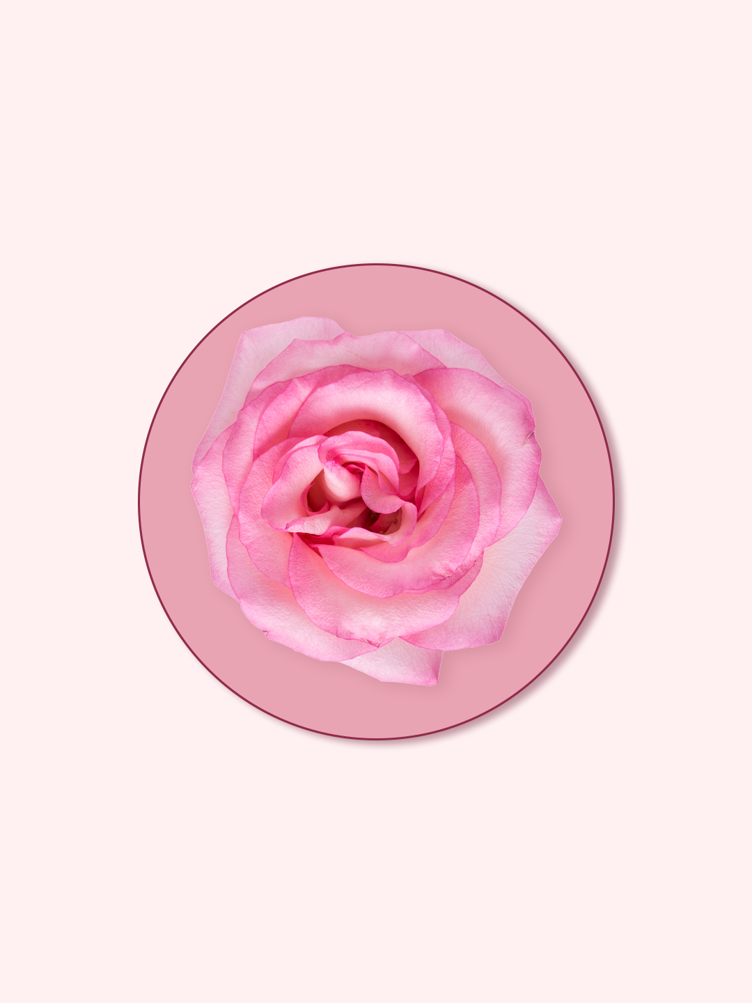 Rose Placenta Extract